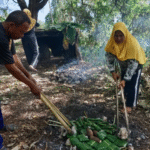 Eksploitasi Pangan Lokal Sedikit