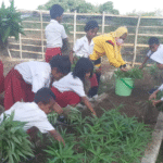 Pendidikan Kita Memang Telah Usang