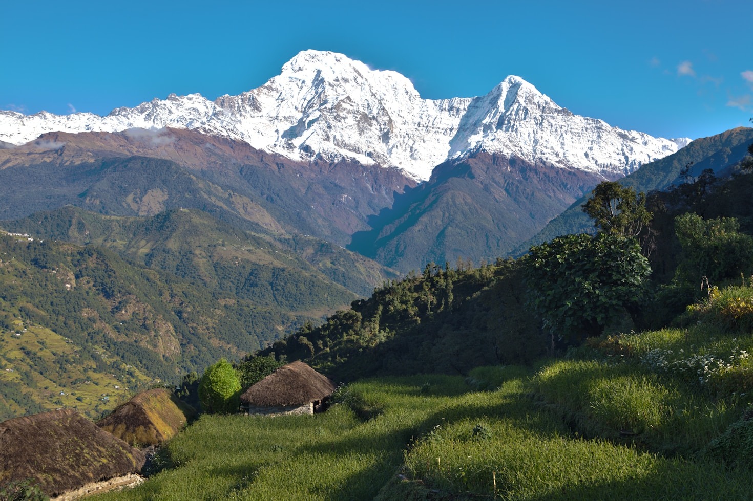 Connecting with Local Wisdom of the Himalayas