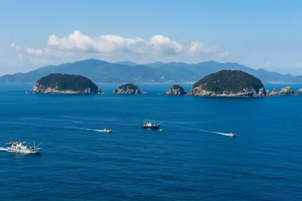 Laut Jepang: Melampaui Batas Geopolitik, Menyelami Kisah Kehidupan dan Konflik