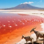 Misteri Memikat Danau Natron Keindahan Eksotis di Balik Aura Menyeramkan Tanzania