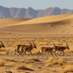 Onager: Dari Padang Gurun hingga Spotlight Dunia Modern