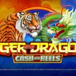 IGT PlayDigital berekspansi dengan peluncuran lini High Stakes, pertumbuhan Argentina, dan judul-judul baru