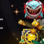 Push Gaming mendefinisikan ulang portofolio, meluncurkan kategori permainan baru dan sub-merek baru